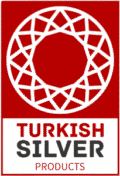 cropped cropped tsj logo removebg preview 1 205x300